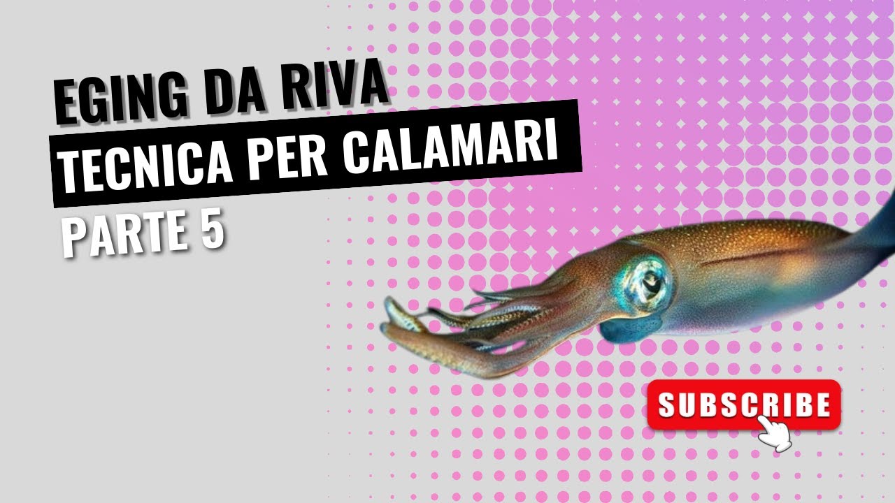 EGING DA RIVA…. PARTE 5…. IL RECUPERO PER I CALAMARI