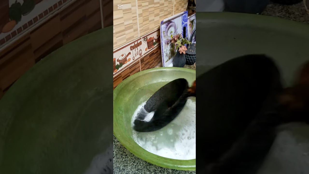 لاول مره علي قناتي سر المسحوق الياباني السحري ناسف للدهون معلقه واحده هيفور كل الدهون 🤔اكسبلور
