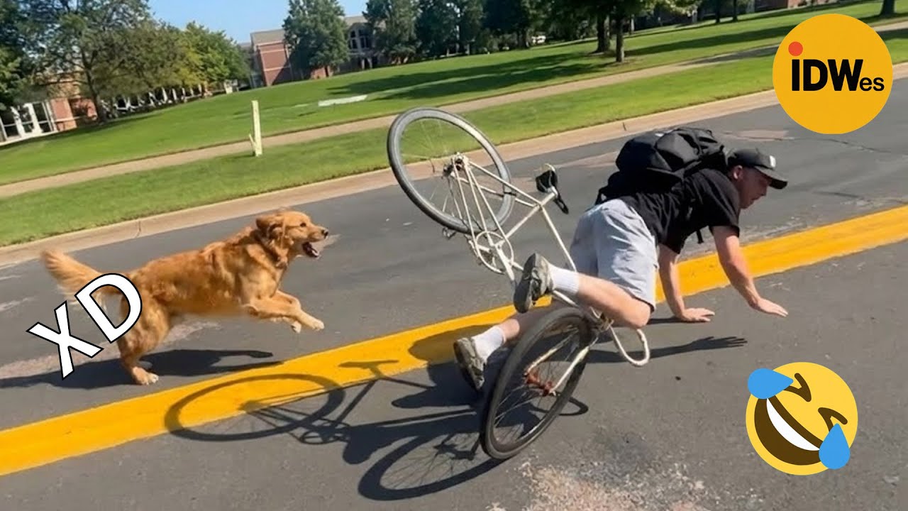 SI TE RÍES PIERDES NIVEL DIOS #382 🤣 TOP 100 VIDEOS MÁS DIVERTIDOS DE TODOS LOS TIEMPOS