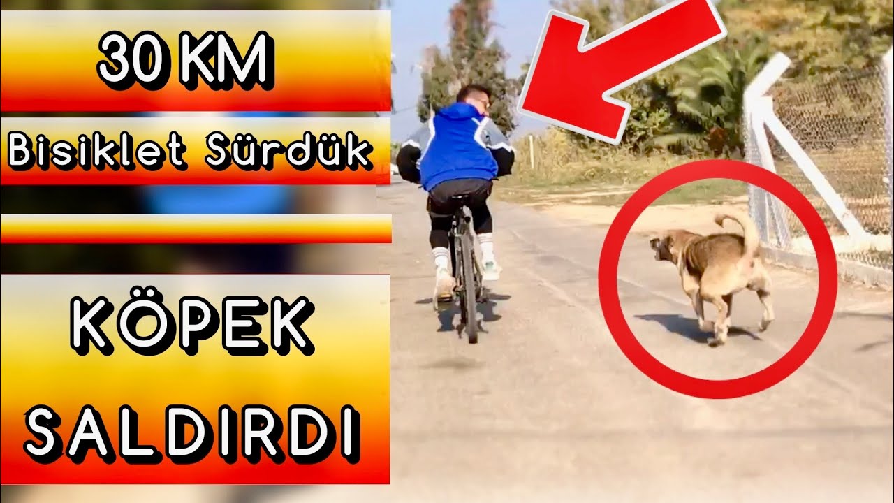 YOLDA K&Ouml;PEK SALDIRDI | 30 KM BİSİKLET S&Uuml;RD&Uuml;K | G&ouml;ztepe-G&uuml;zelbah&ccedil;e Vlog