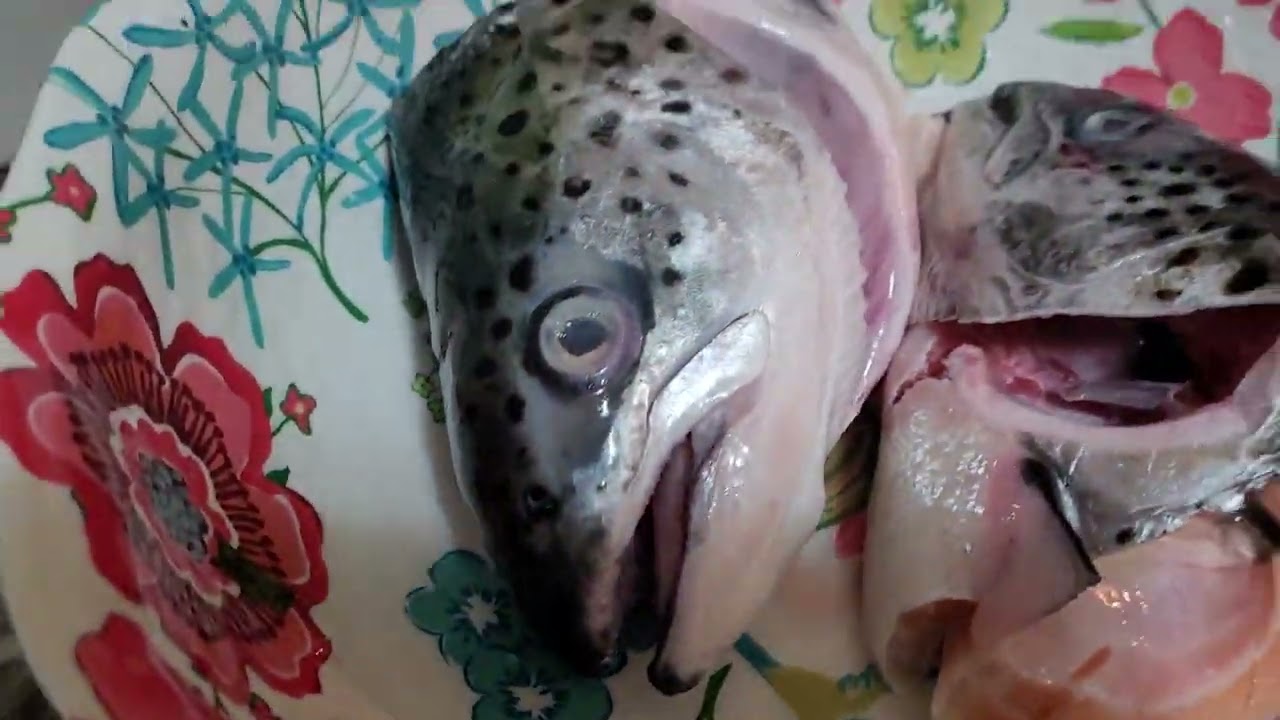 SALMON HEADS SOUP WITH VEGGIES
