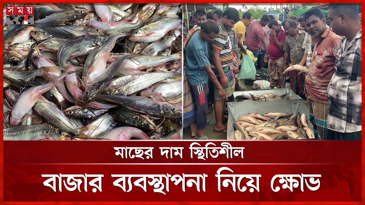 হাওরে পানি কমে যাওয়ায় মাছের সরবরাহে ঘাটতি | Fish Bazar In Shaistanagar | Habiganj News | Somoy TV