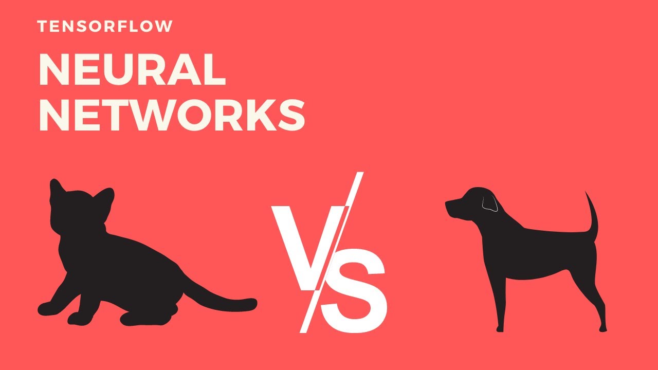 How to use AI to classify Cat/Dog images with Tensorflow Keras! (1)