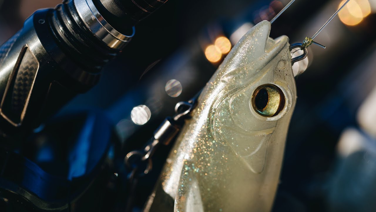 Ловля рыбы с приманкой Magdraft Swimbait