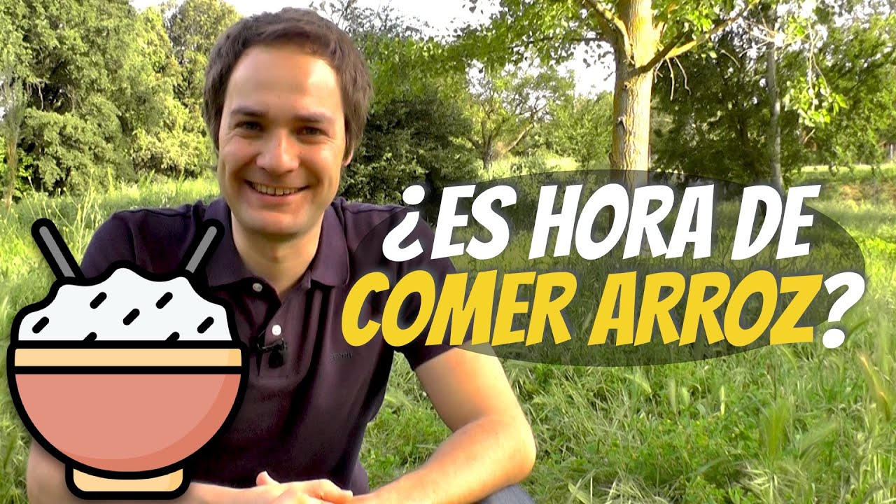 Aprende a comer arroz