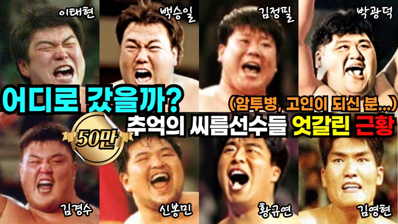 90년대 추억의 씨름 선수들의 엇갈린 근황