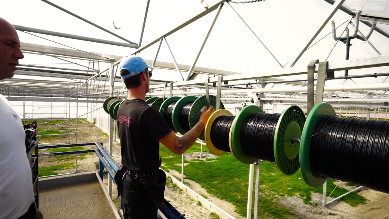 Innovatie bij AllPlant in Heerhugowaard i.s.m Huismans Scherming: het ValkScreenVision systeem