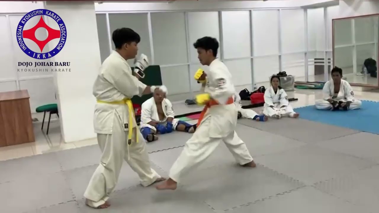 Daily training #kyokushin #karate #martialarts 