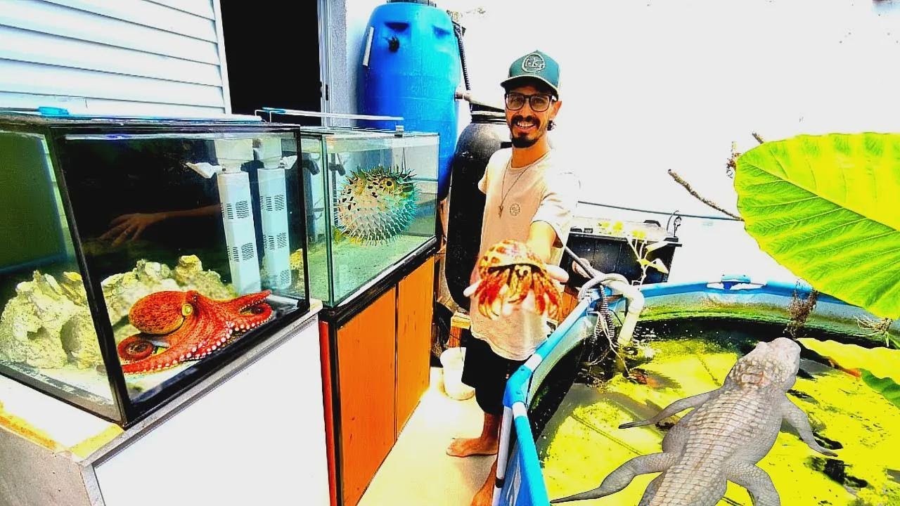 Armé un acuario con agua de mar para mis criaturas marinas