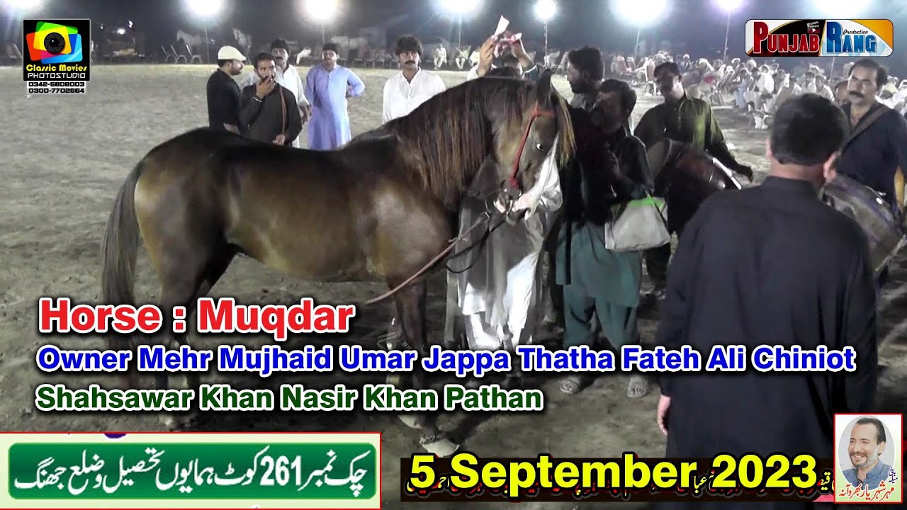 Muqdar Nasir KHan Pathan l Horse Dance Mehar Da Chak Jhnag l 5 Sep 2023