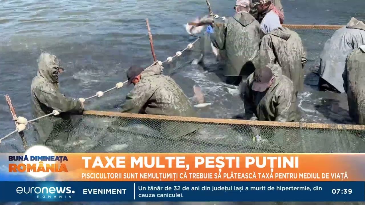 Taxe multe, pești puțini: Piscicultorii sunt nemulțumiți că trebuie să plătească mediul de viață