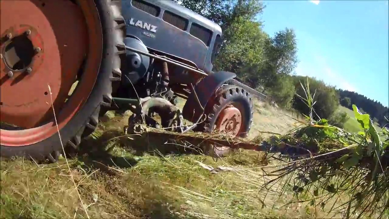 LANZ BULLDOG D1616 Mähen mit Mähbalken / cutting grass