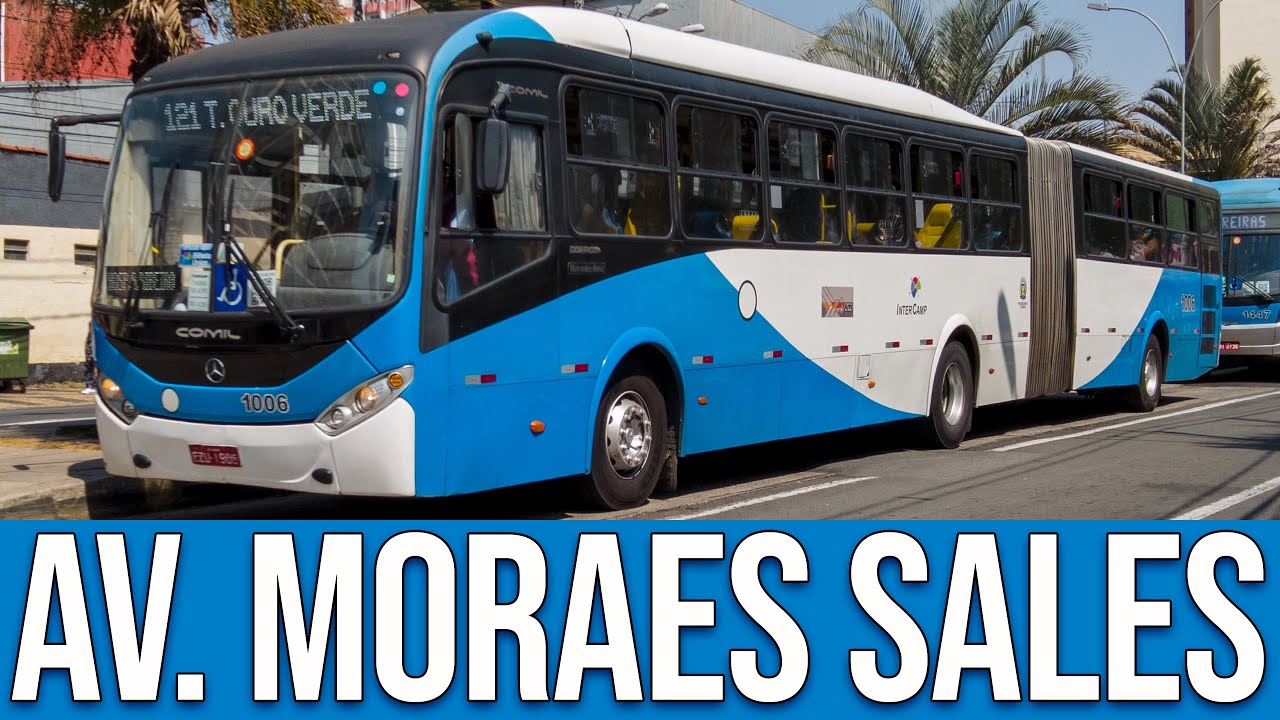 Avenida Doutor Moraes Sales (Campinas/SP) - Movimentação de Ônibus #537