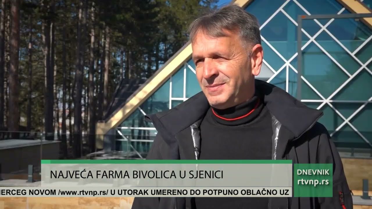 Najveća farma bivolica u Sjenici
