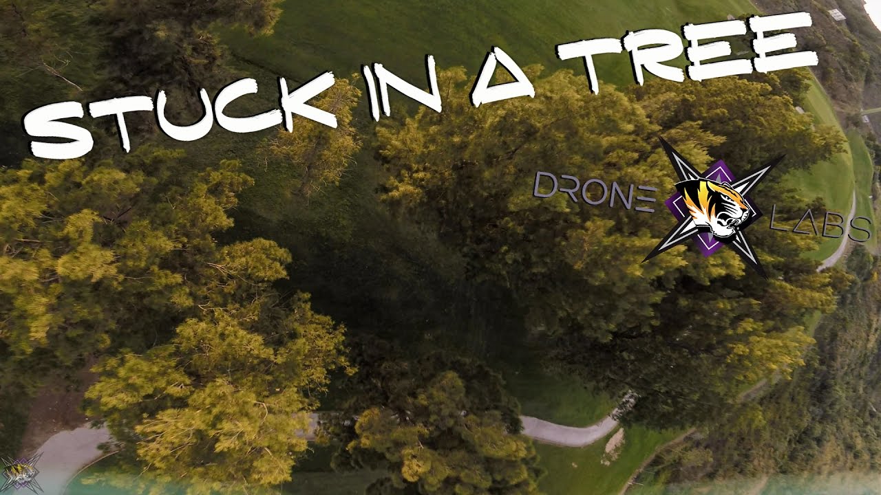 Stuck in a tree AGAIN - Art through Air II