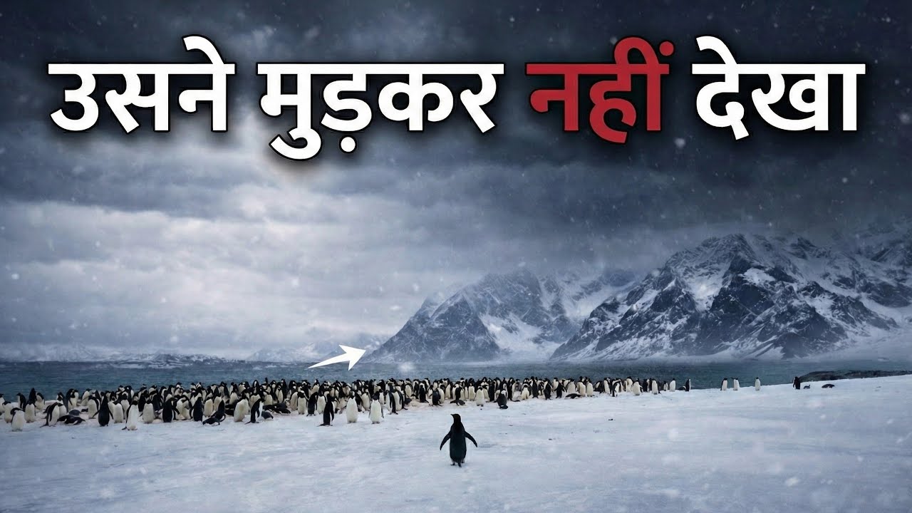 Penguin Mystery Hindi | क्या हुआ था