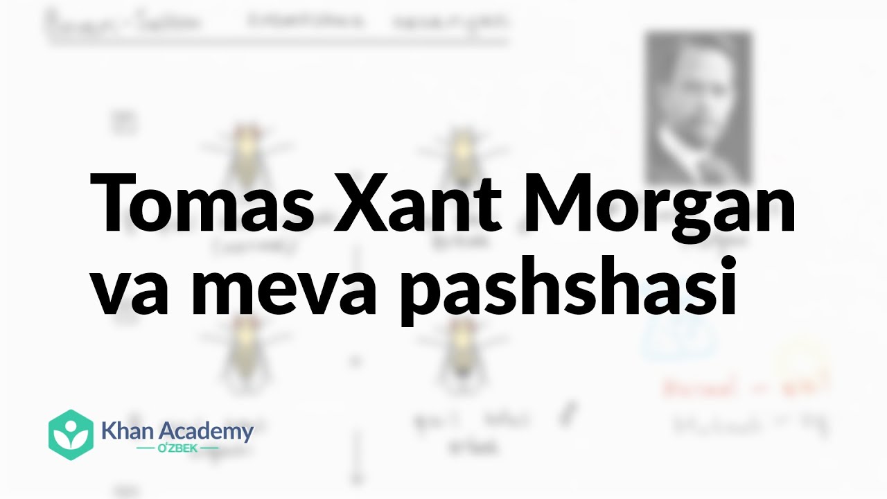 Tomas Xant Morgan va meva pashshasi | Klassik va molekulyar genetika | Biologiya