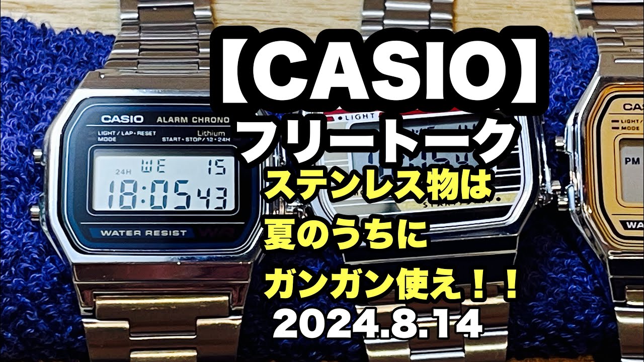【CASIO/チープカシオ】フリートーク 2024.8.14