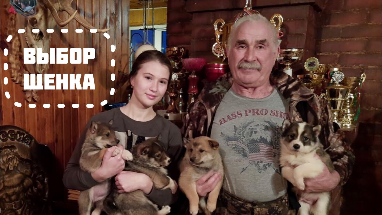 Александр Константинович выбирает щенка 🐕Часть 3