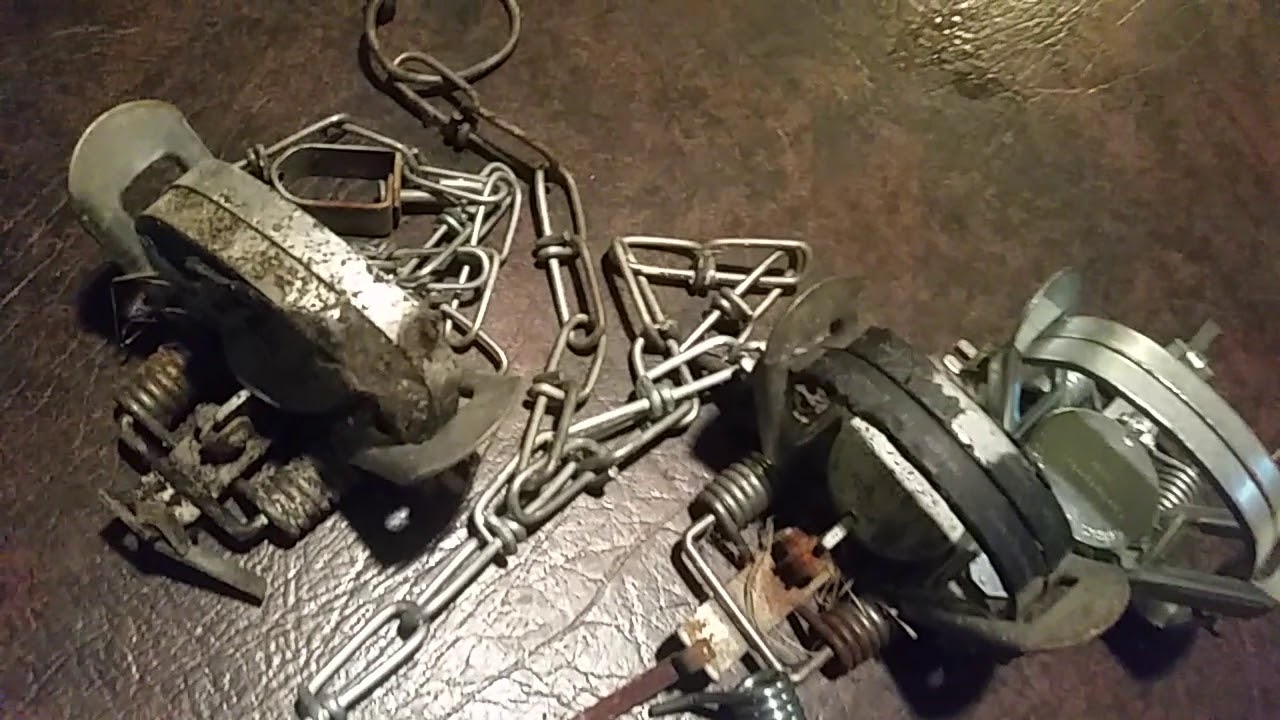 Cheap leghold traps side by side
