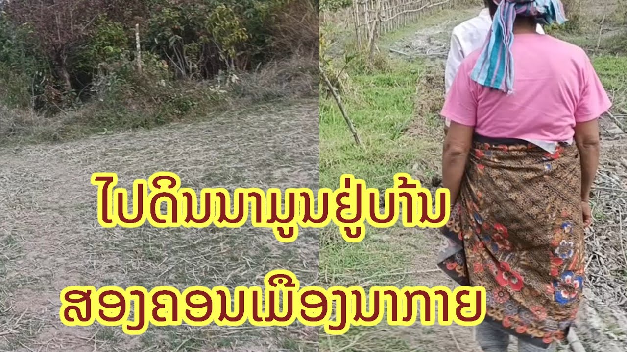 ໄປປັນດິນນາມູນພໍ່ເຖົ້າໄດ້ສາ່ງໄຫວ່