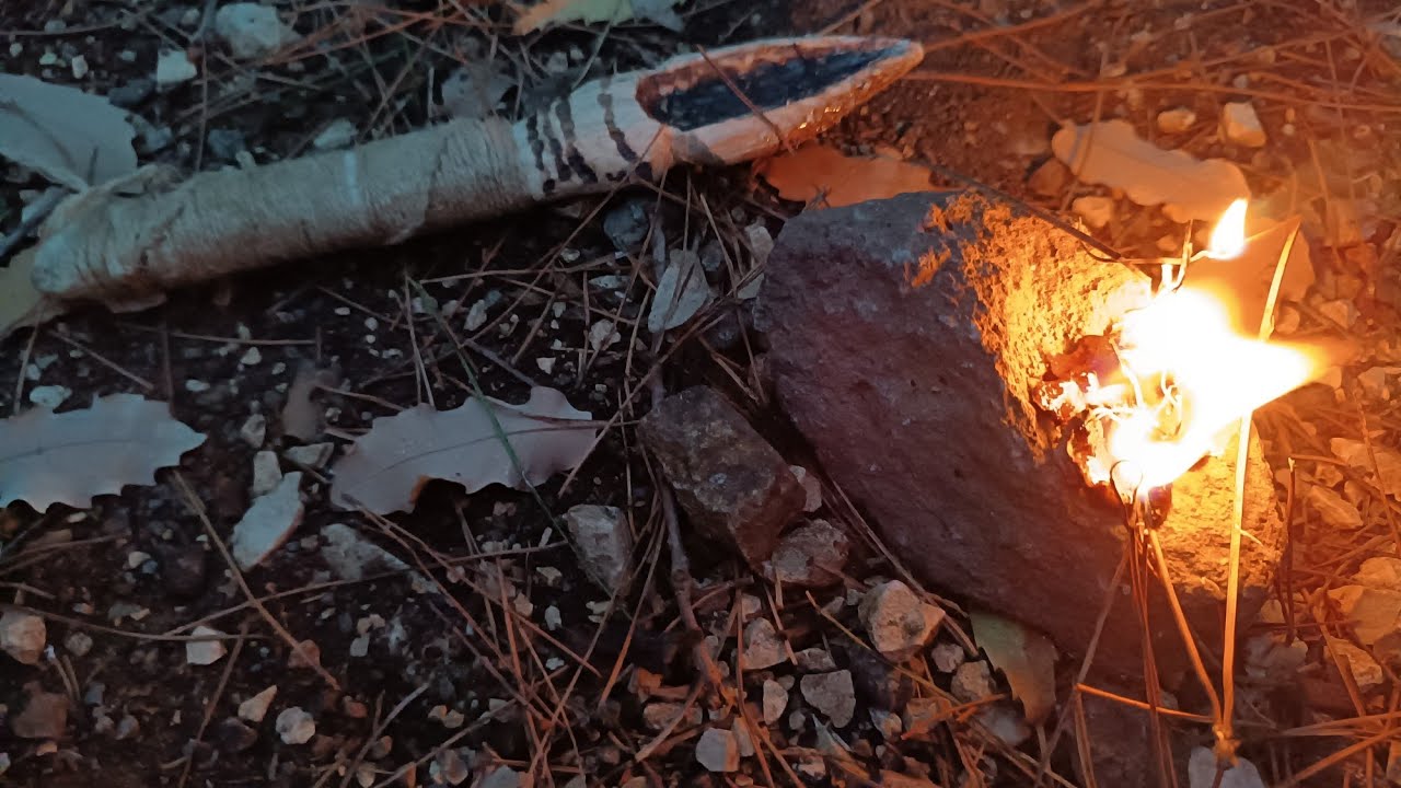 ליקוט שרף אורן עצות ועוד