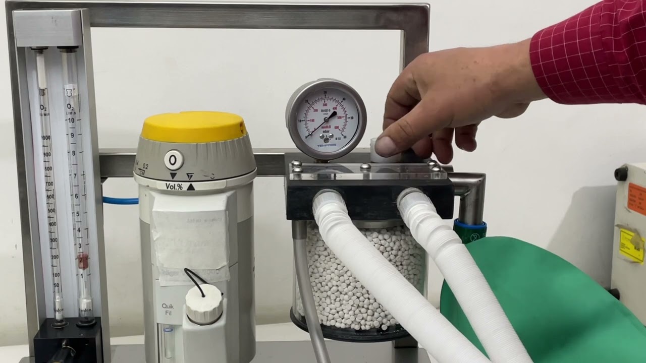 Máquina de anestesia portátil para concentrador de oxígeno uso Veterinario
