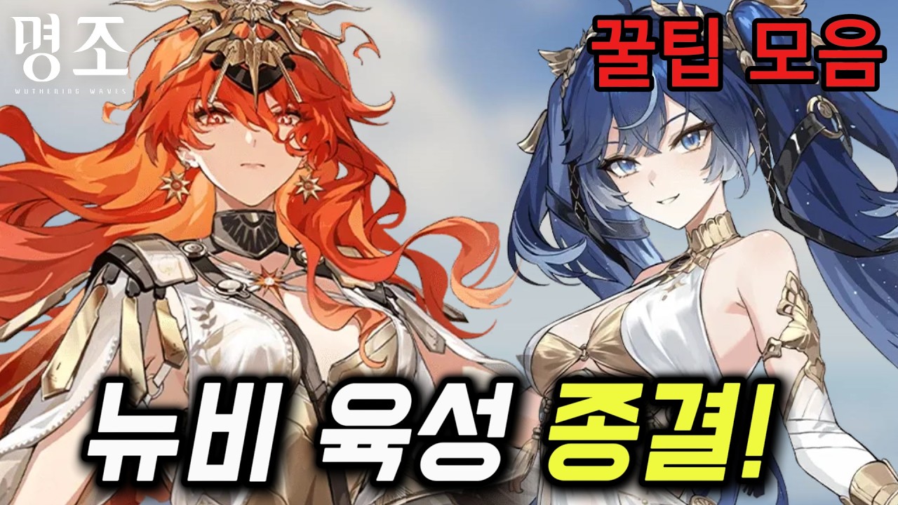 [명조] 캐릭터가 약한 뉴비분들은 꼭 보세요!｜육성 가이드