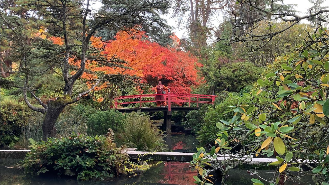 🍁Японский сад в Сиэтле: 140 видов клена. Kubota Garden. Влог без вышивки