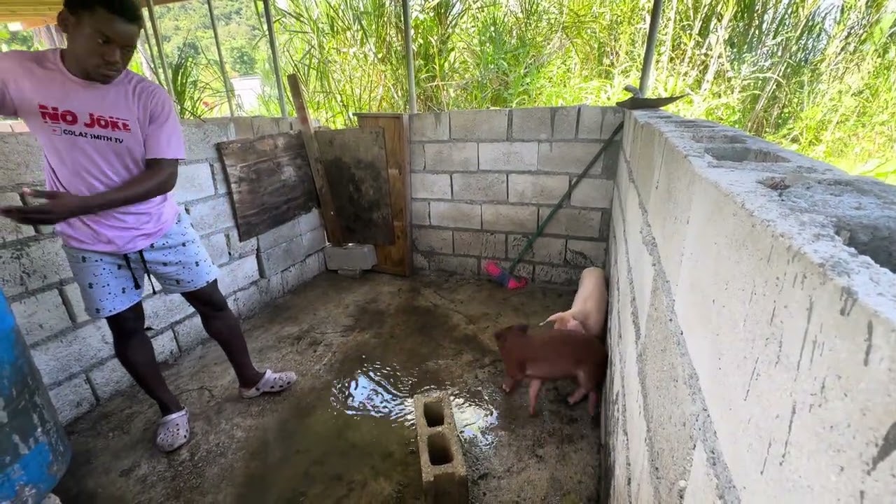 First time cleaning my pig pen god is the greatest love god