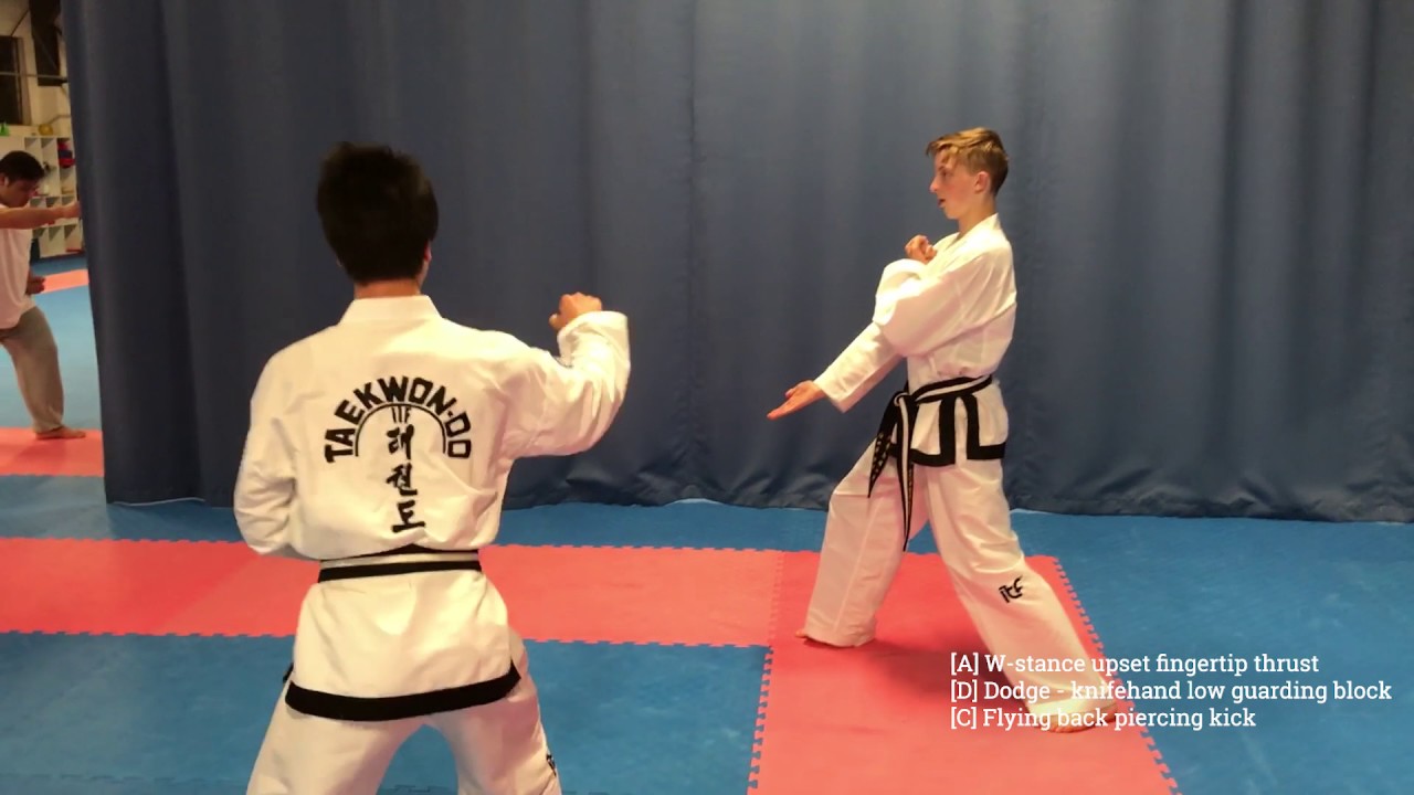 itkd 2 and 1 Step Sparring Syllabus