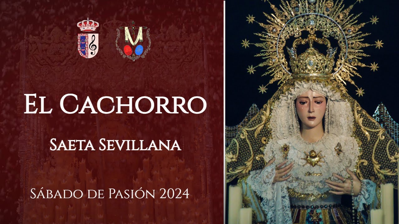 El Cachorro (Saeta Sevillana) | Dolores de Torreblanca 2024