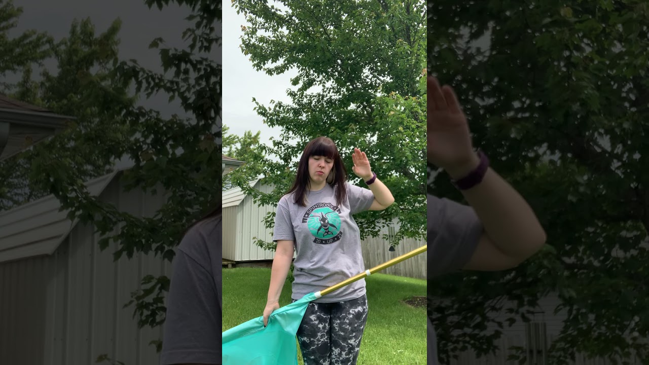 Tossing Planes for Flags - Spintronix Shorts