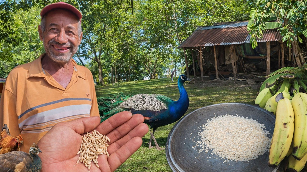 Así se vive en las montañas de Yamasá | Vida real en el campo dominicano