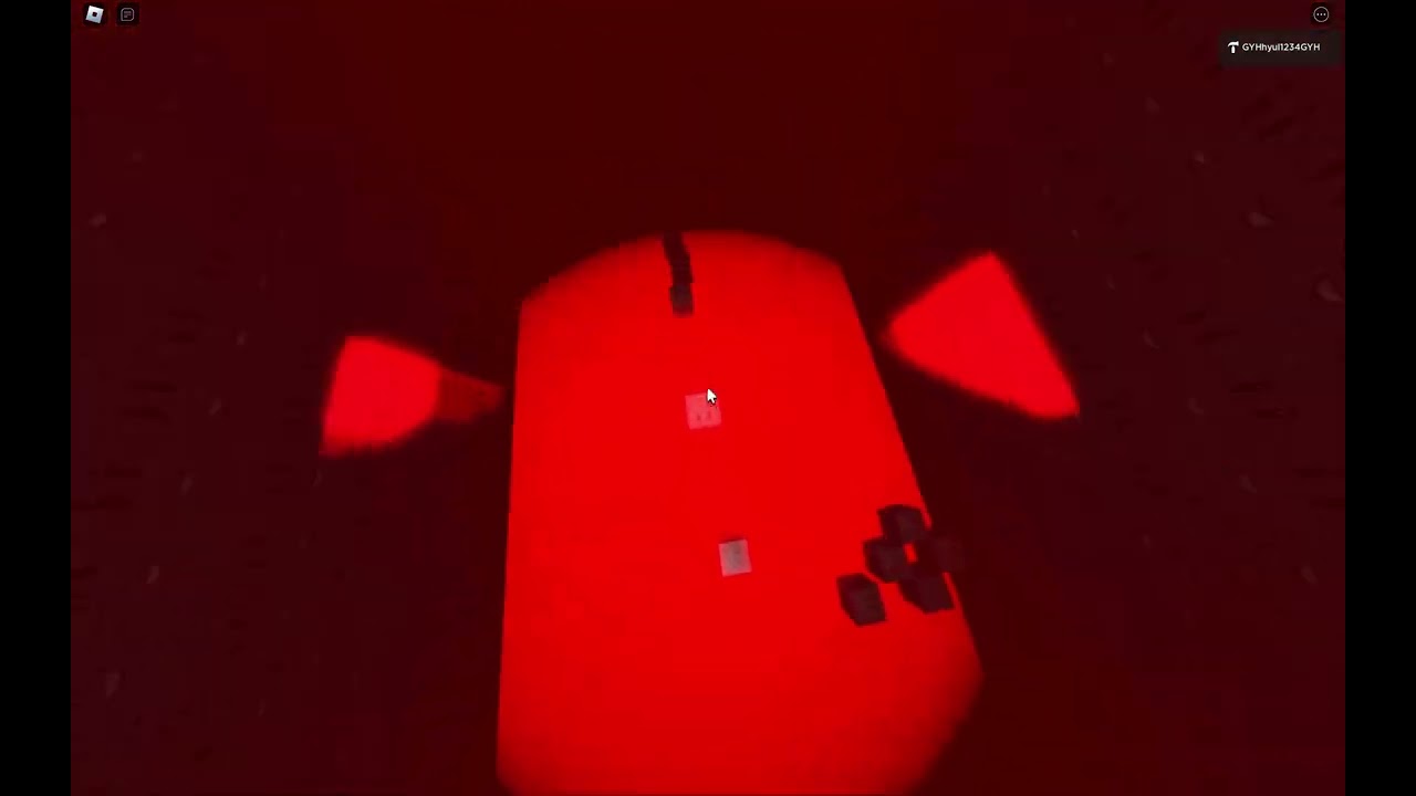 PM 