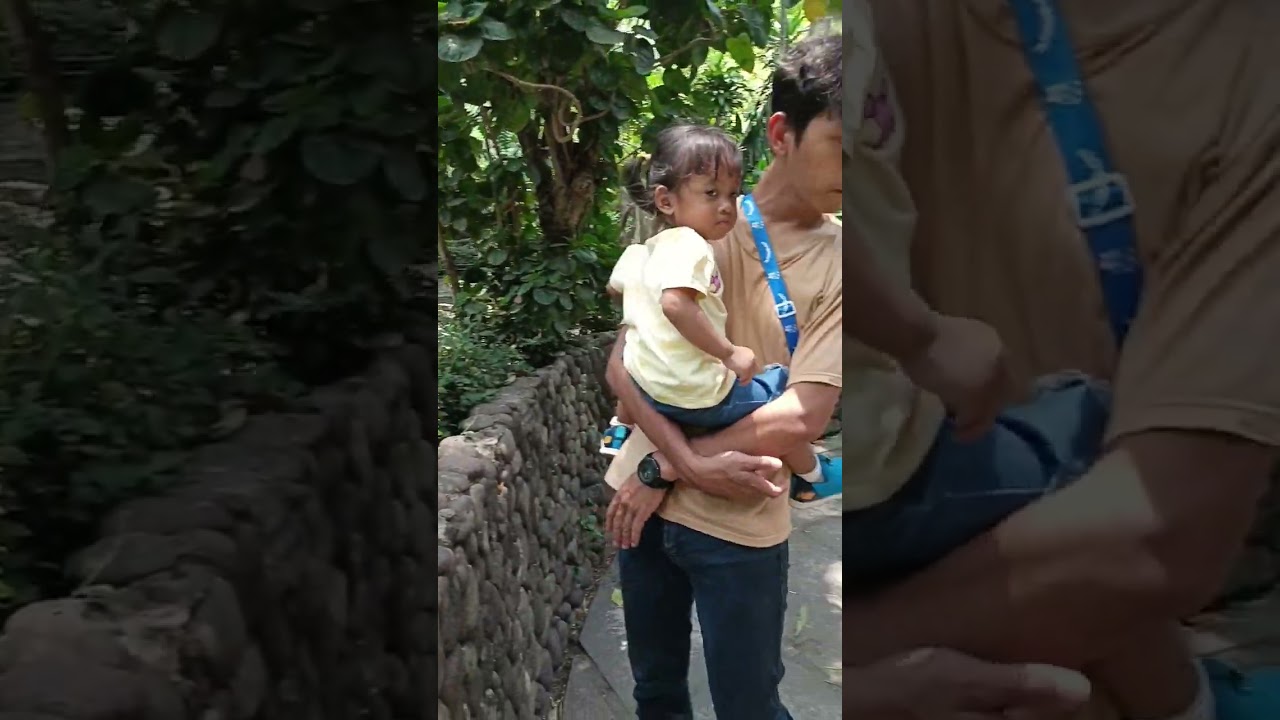 Jogja