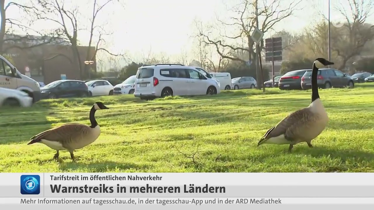 19 März 2026 Tagesschau in 100 Sekunden
