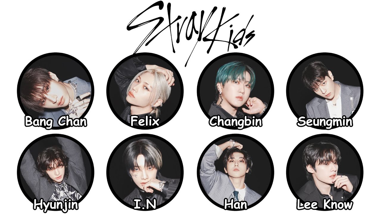 Every STRAY KIDS Member Explained in 20 Minutes