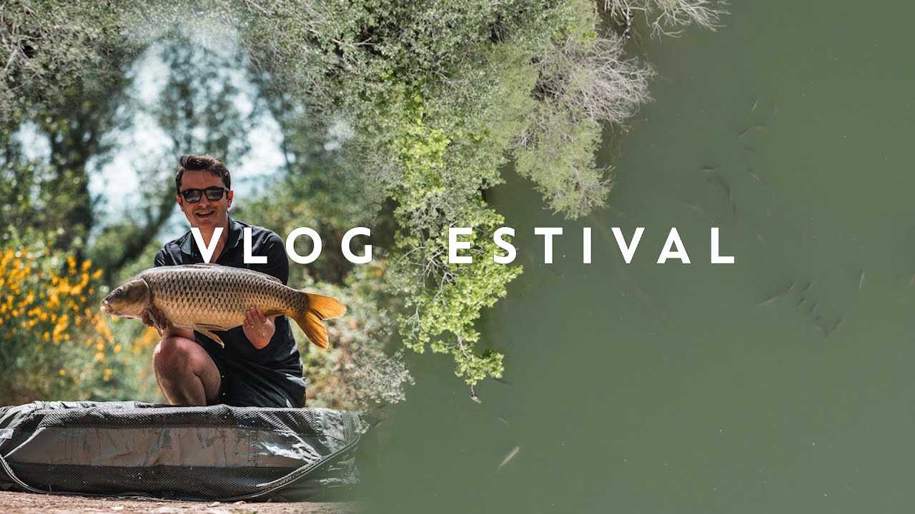 VLOG ESTIVAL