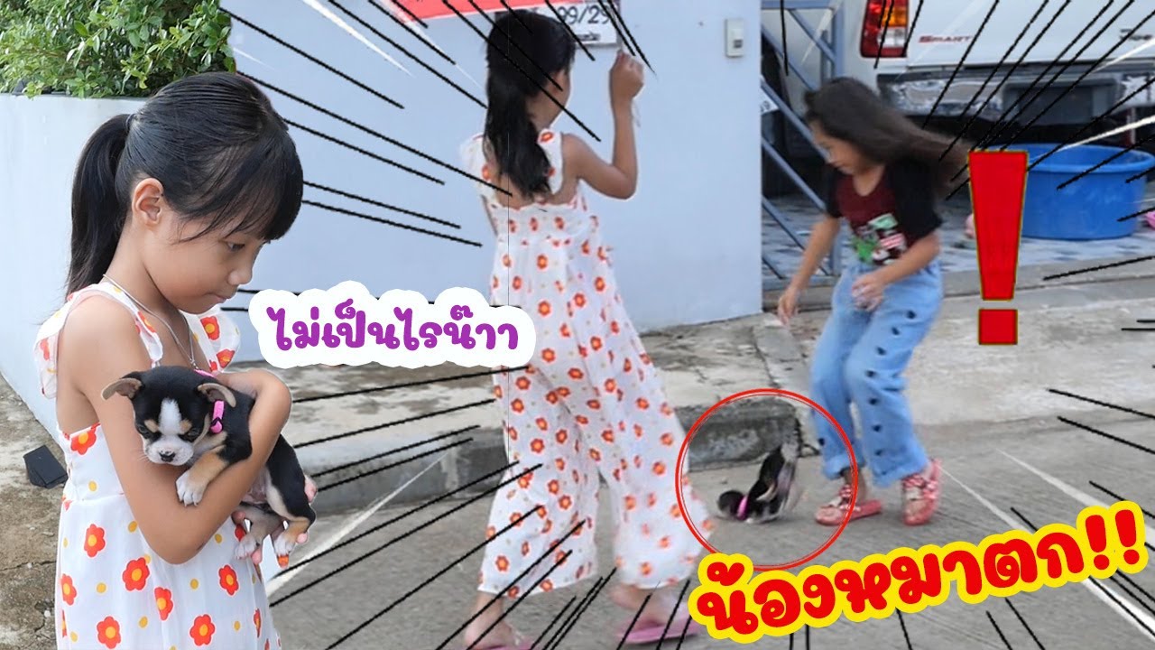 เกิดเหตุการณ์ไม่คาดคิดระหว่างถ่ายคลิป มีมี่หลุดมือตกพื้น!! น้องหมาของพี่เกลลี่หลุดมือตกพื้น
