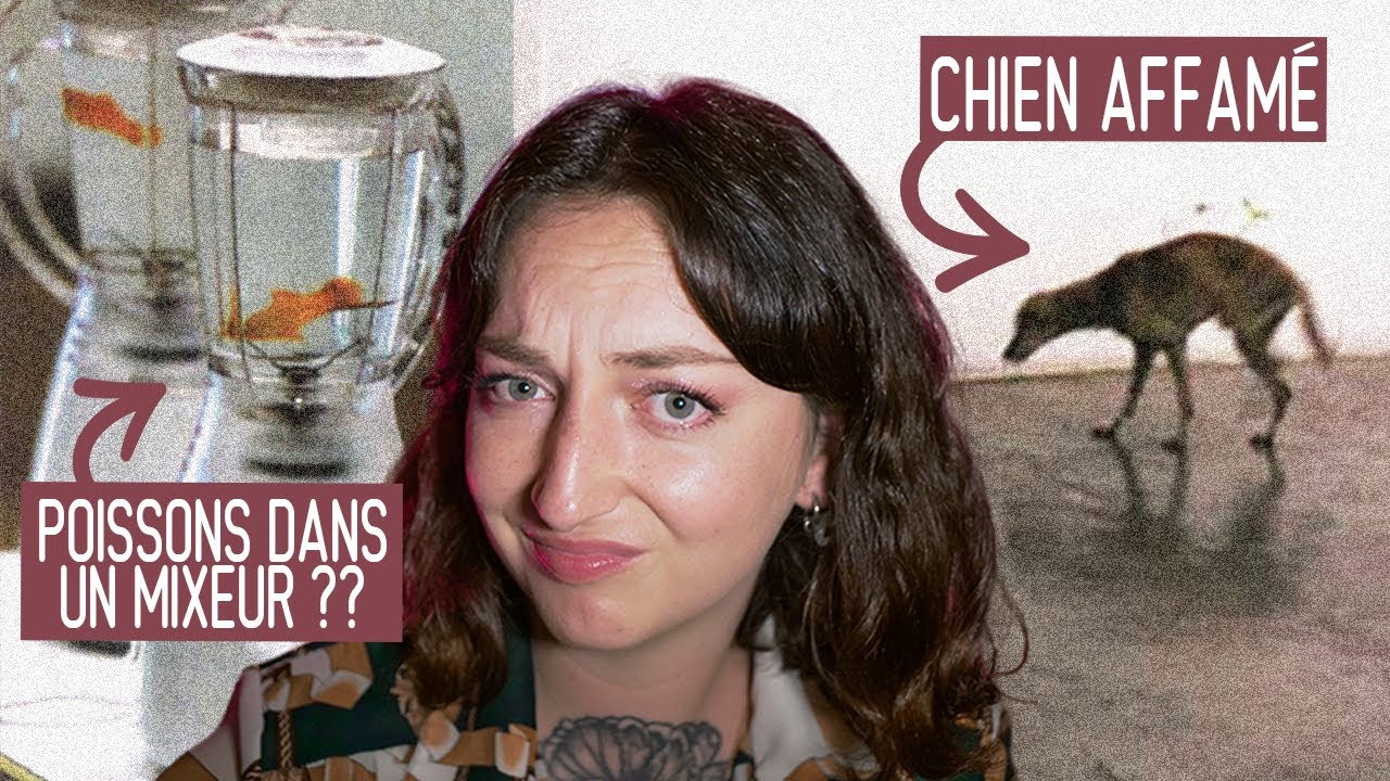 TU*R DES ANIMAUX POUR L'ART ?? (Oui ça existe)