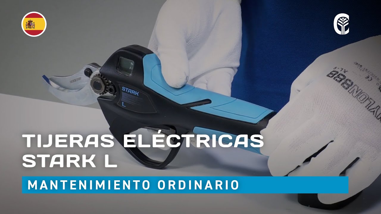 🇪🇸 Mantenimiento ordinario: CAMPAGNOLA STARK L