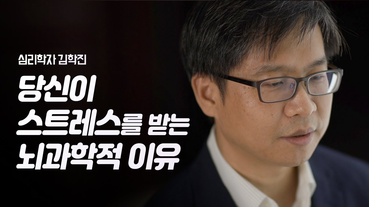 스트레스에서 벗어나지 못하는 뇌과학적 이유 | 심리학자 김학진 | 심리 뇌과학 안정