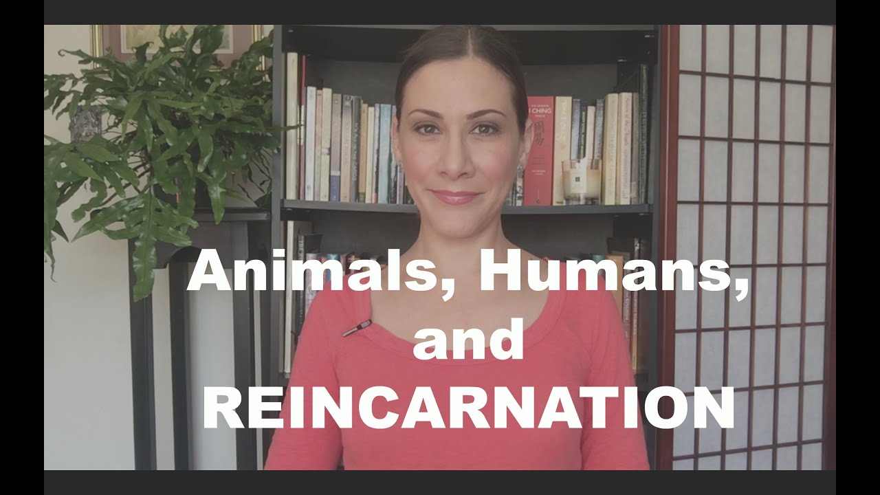 Animals and Reincarnation