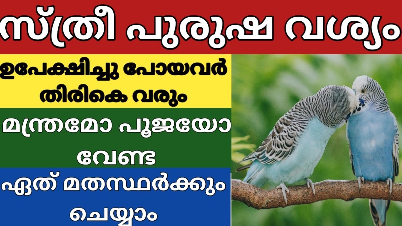 എത്ര വലിയ പിണക്കവും മറന്ന് നിങ്ങളെ തേടി വരും|രാജവശ്യം, 100% റിസൾട്ട്‌ തരുന്ന ക്രിയ 