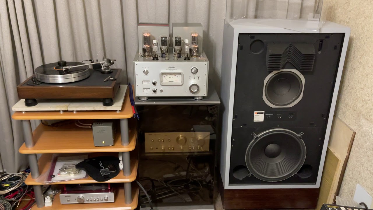 VPI Classic 1, EMT Tubaphon, Line Magnetic LP33, Line Magnetic LM-219iA