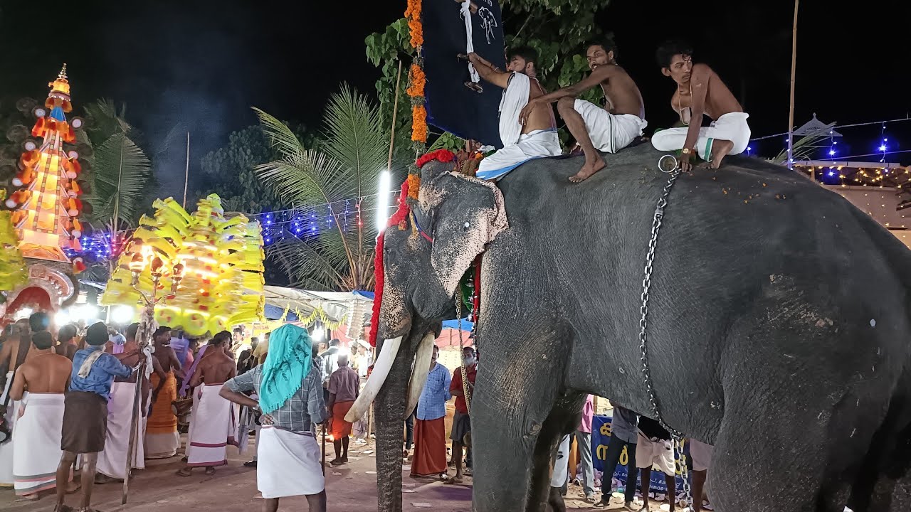 വരാക്കരയിൽ പുലർച്ചെ നടന്ന പൂരസെറ്റുകളുടെ അതിഗംഭീരമായ വരവുകൾ | Varakkara Pooram 2023