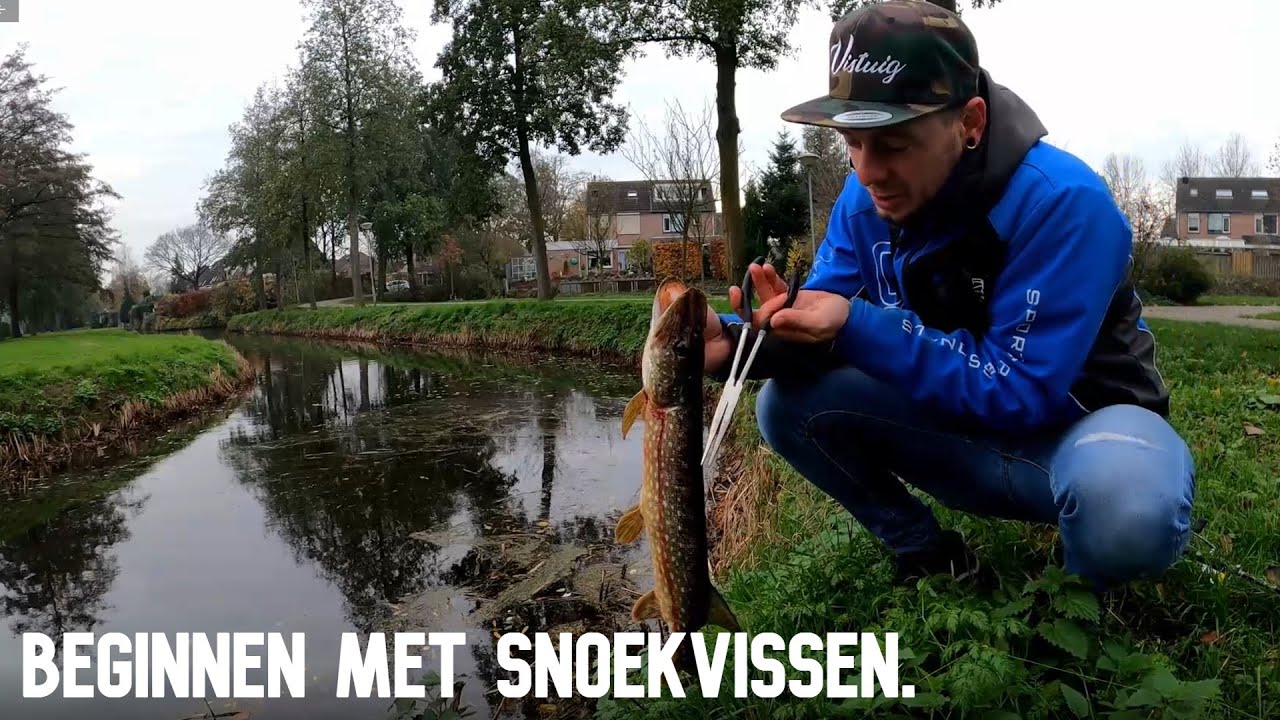 tips om te beginnen met roofvissen.. snoek, baars, snoekbaars en roofblei (roofvis)