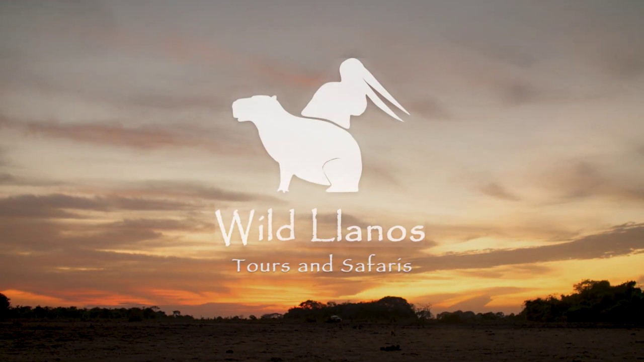 Wild Llanos Tours and Safaris (Los Llanos, Colombia)