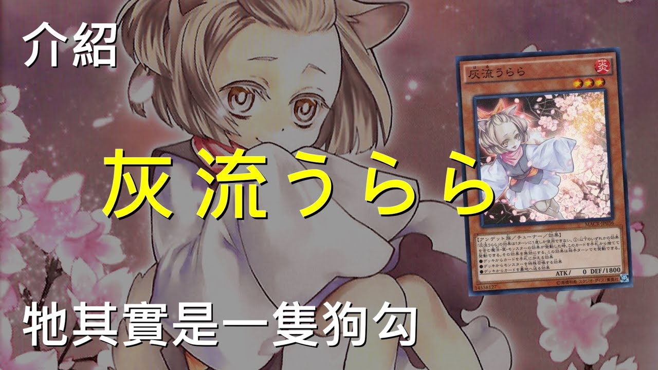 [ 遊戲王 ] 狗的報恩，灰流麗其實是狗的亡靈 Ash Blossom & Joyous Spring